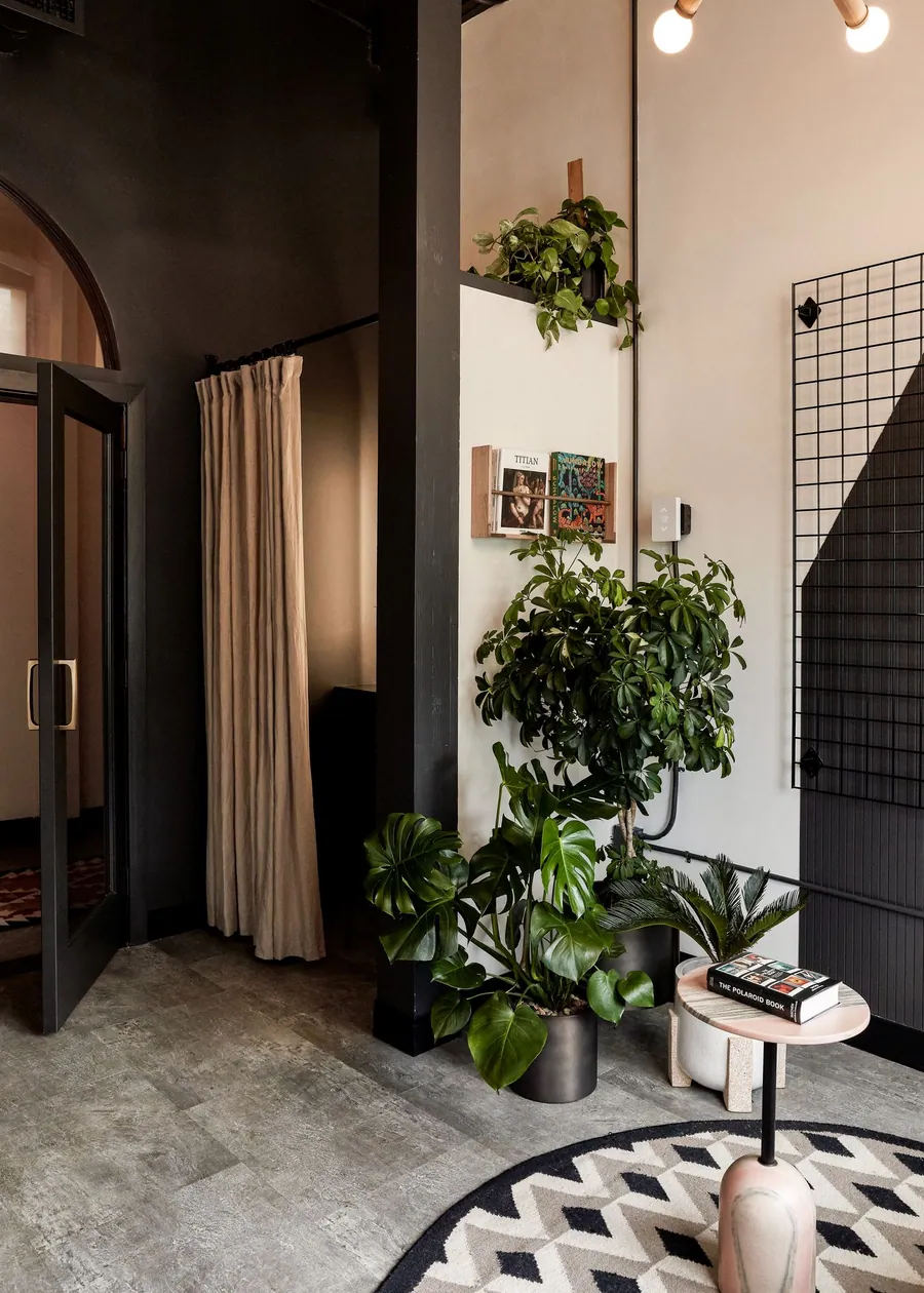 Suite 101: a plant-filled corner beside an arched doorway