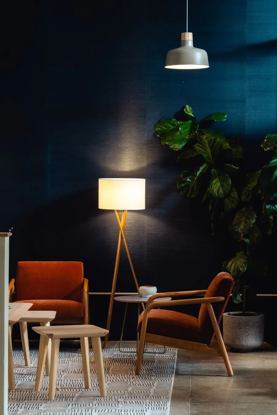 Suite 102: a lounge with orange armchairs against a deep blue wall